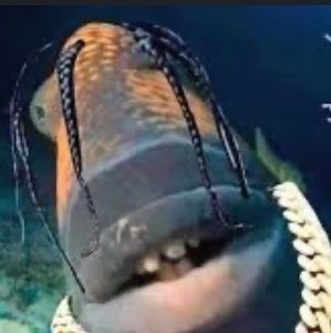 Meet your Posher, Colton